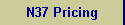 N37 Pricing